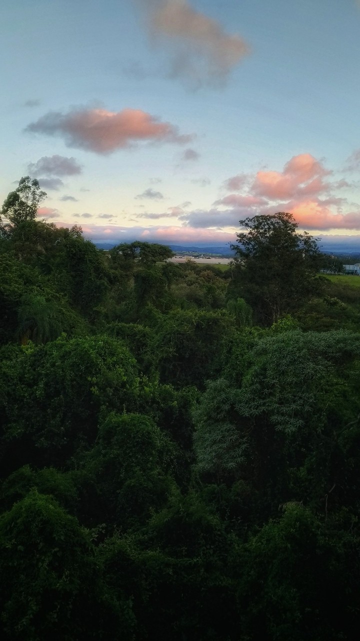 Out of the woods - part VII