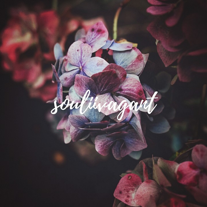 souliivagant/ soulivagant