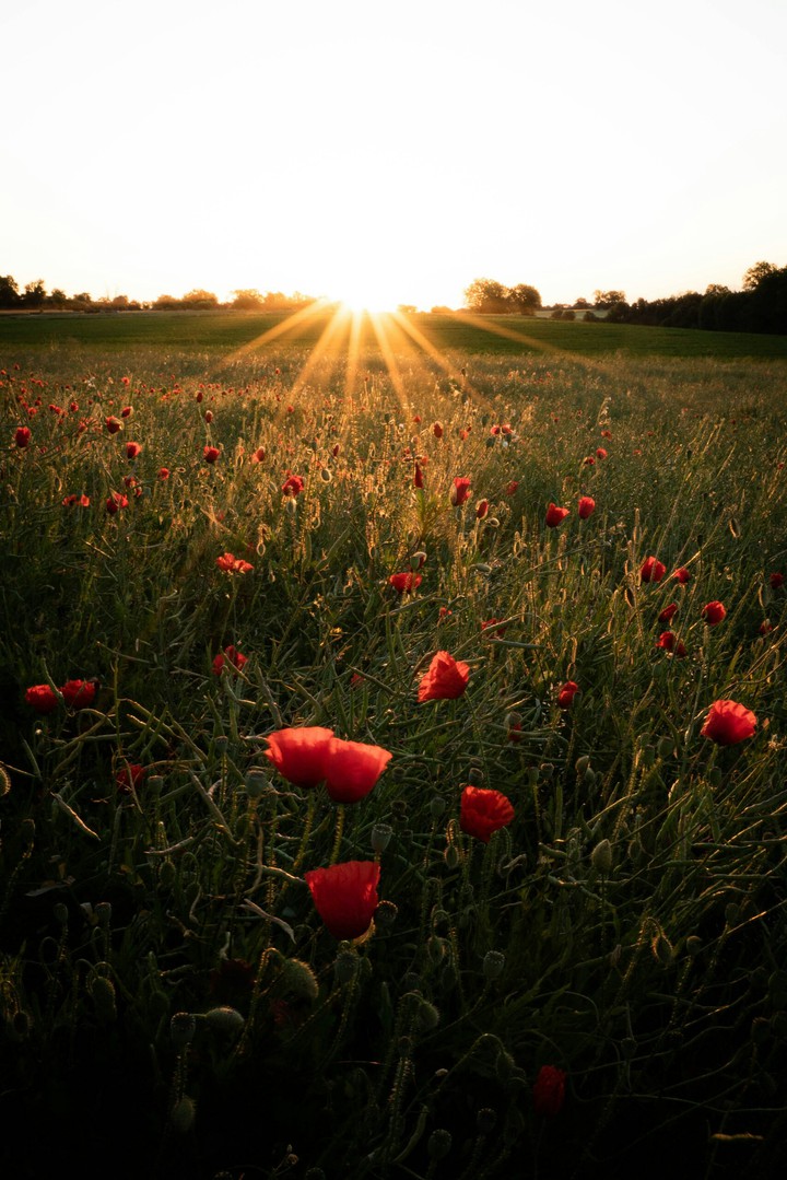 sun shine