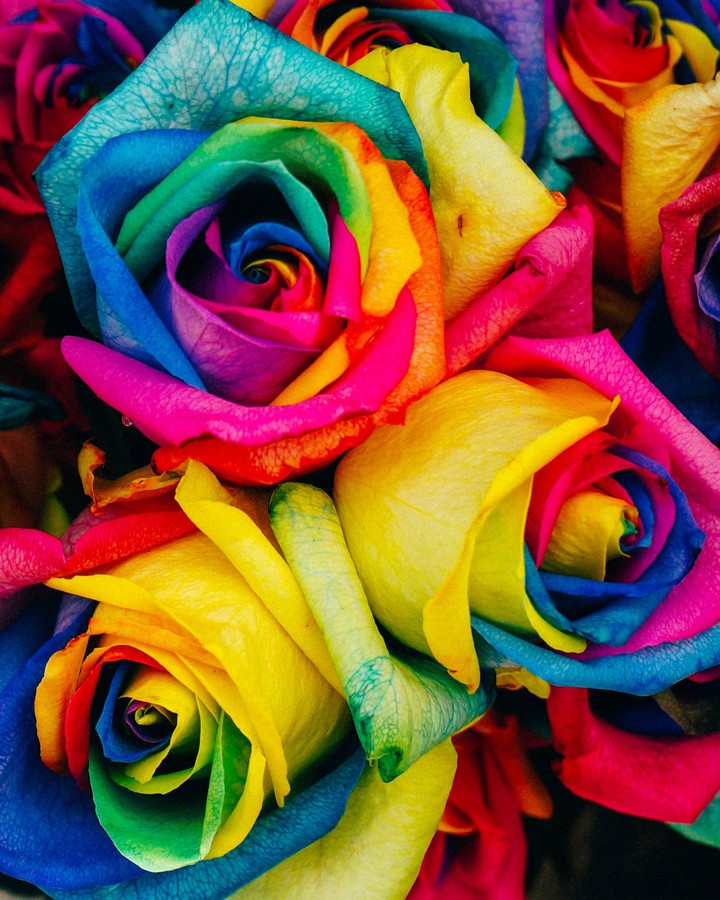 flowers