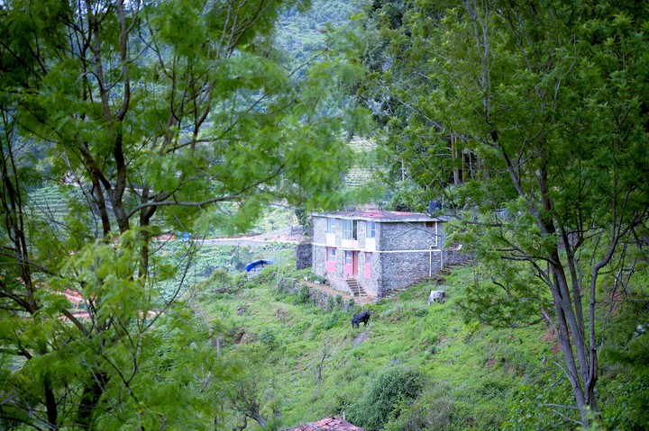 Kodaikanal