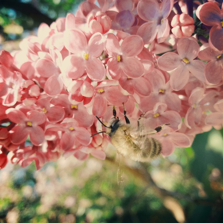 Spring life