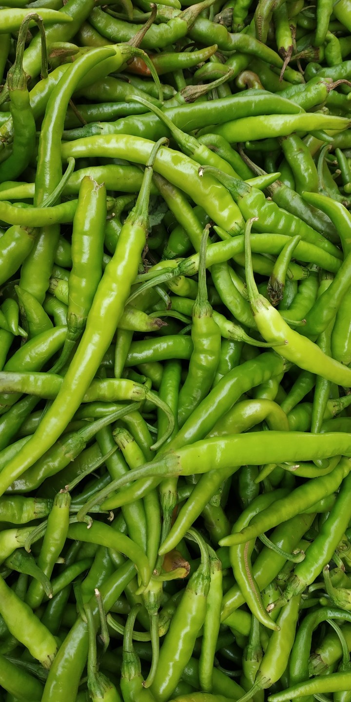 Go Green