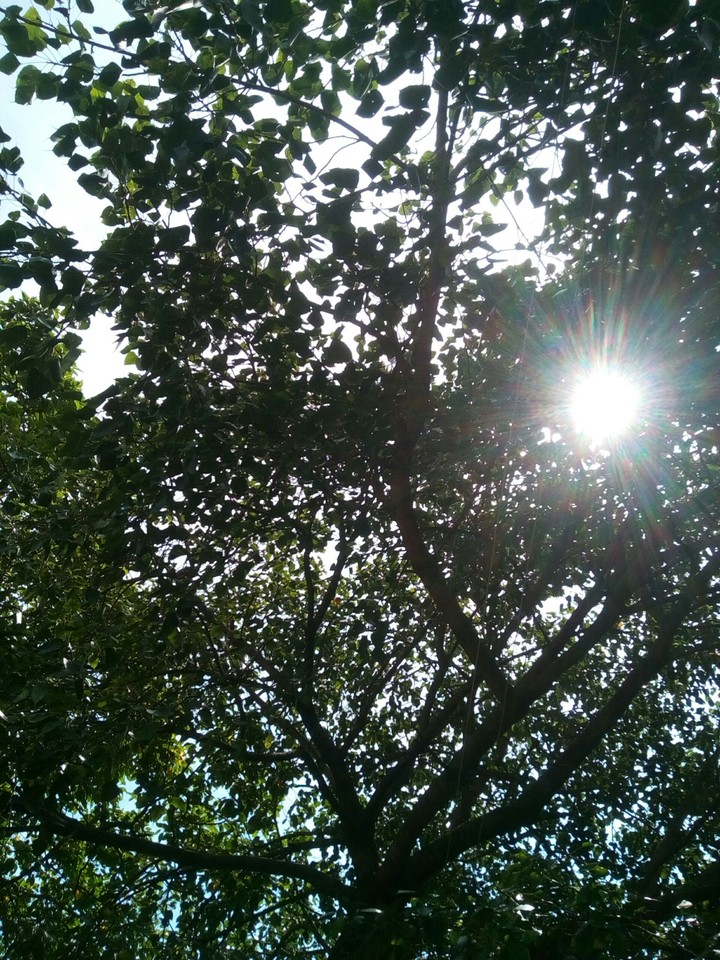 sun rayzzz!!!!