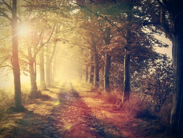 way