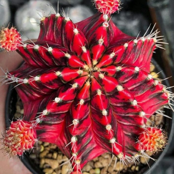 ❤