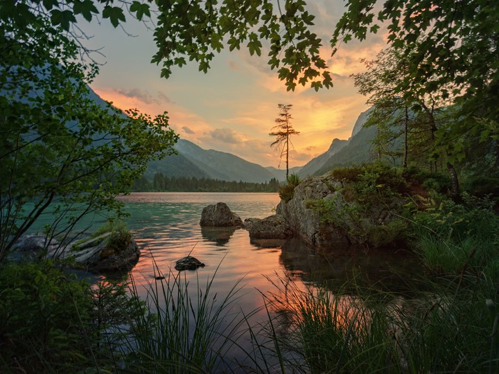 Nature Beauty