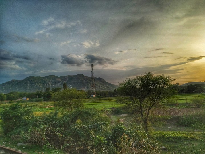 Nature