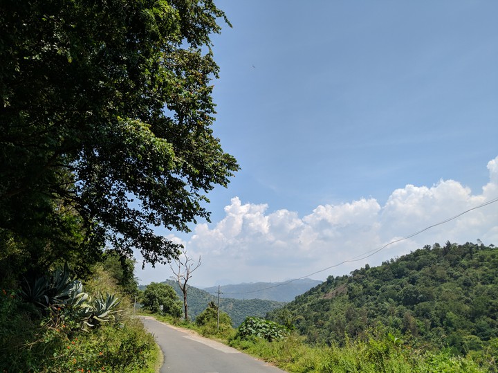 Road to the valley
