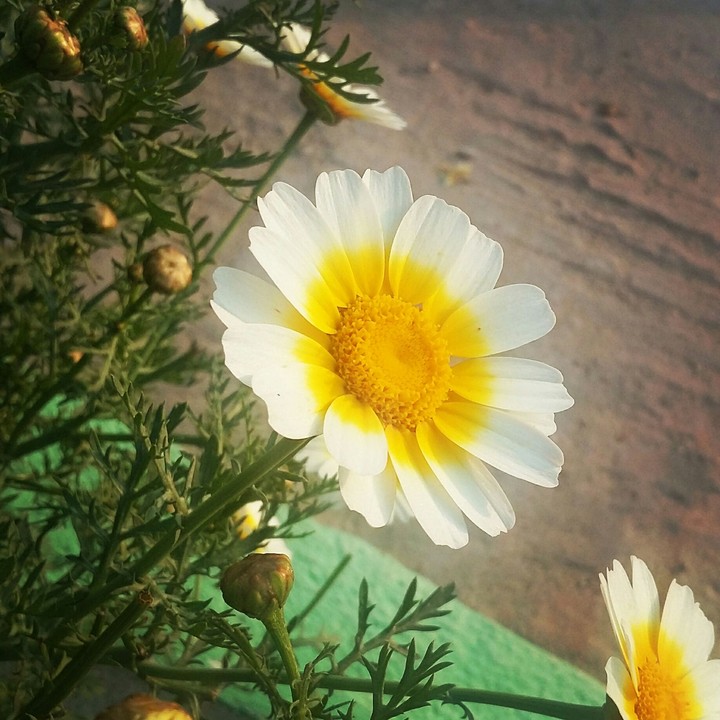 I wish you all a nice day