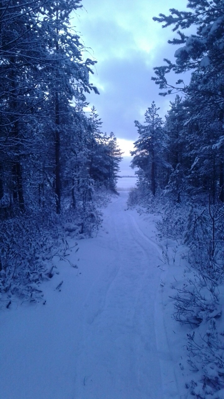 Снежная дорога