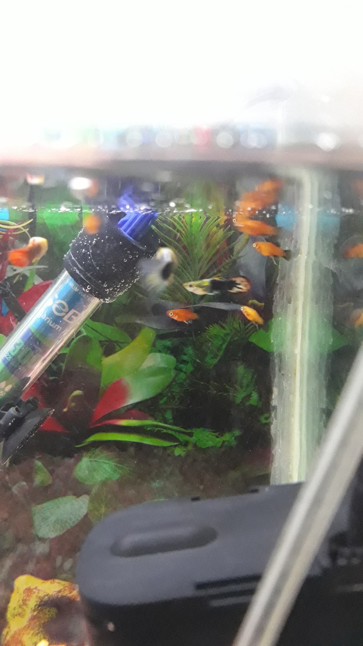 aquarium