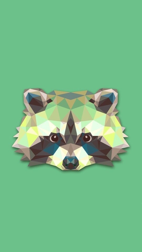 racoon