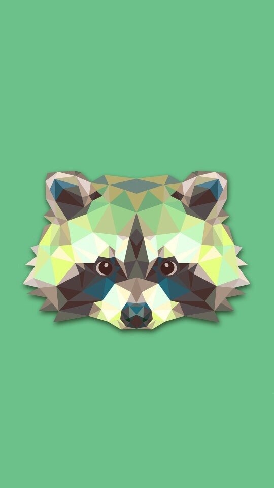 racoon