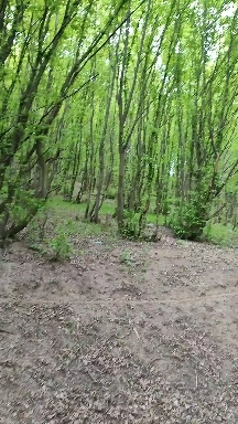 My place of power