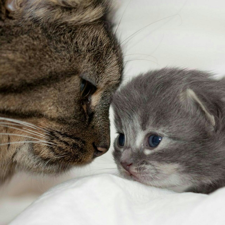 mom n kid
