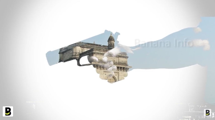 Gun