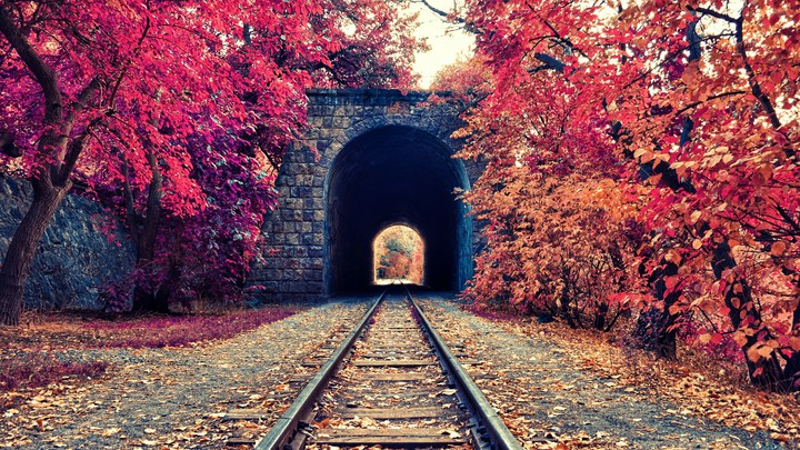 Tunnel to the autumn