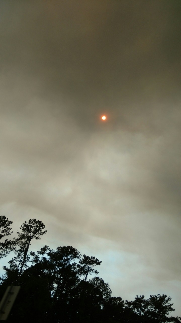 The Ashen Sun