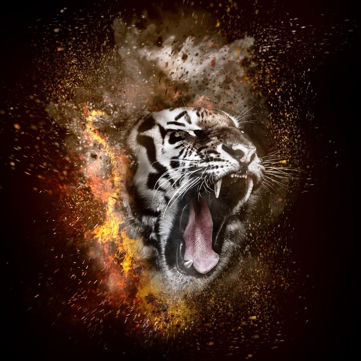 Roar
