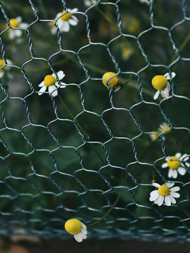❤