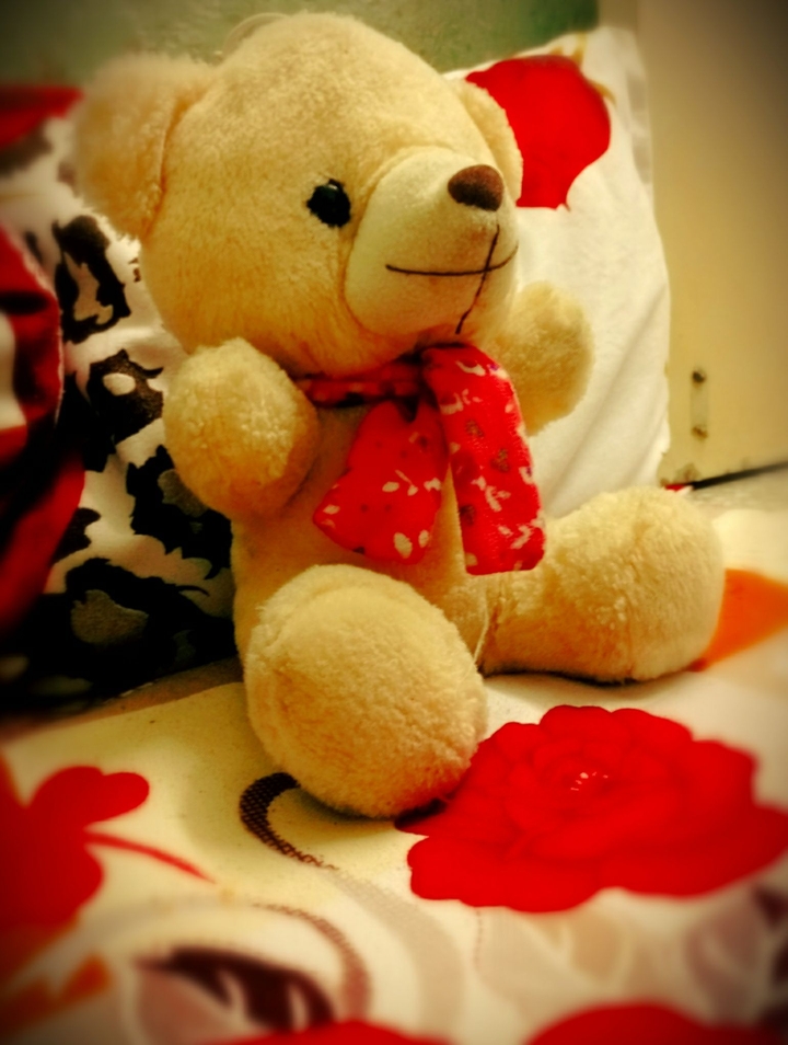 Teddy