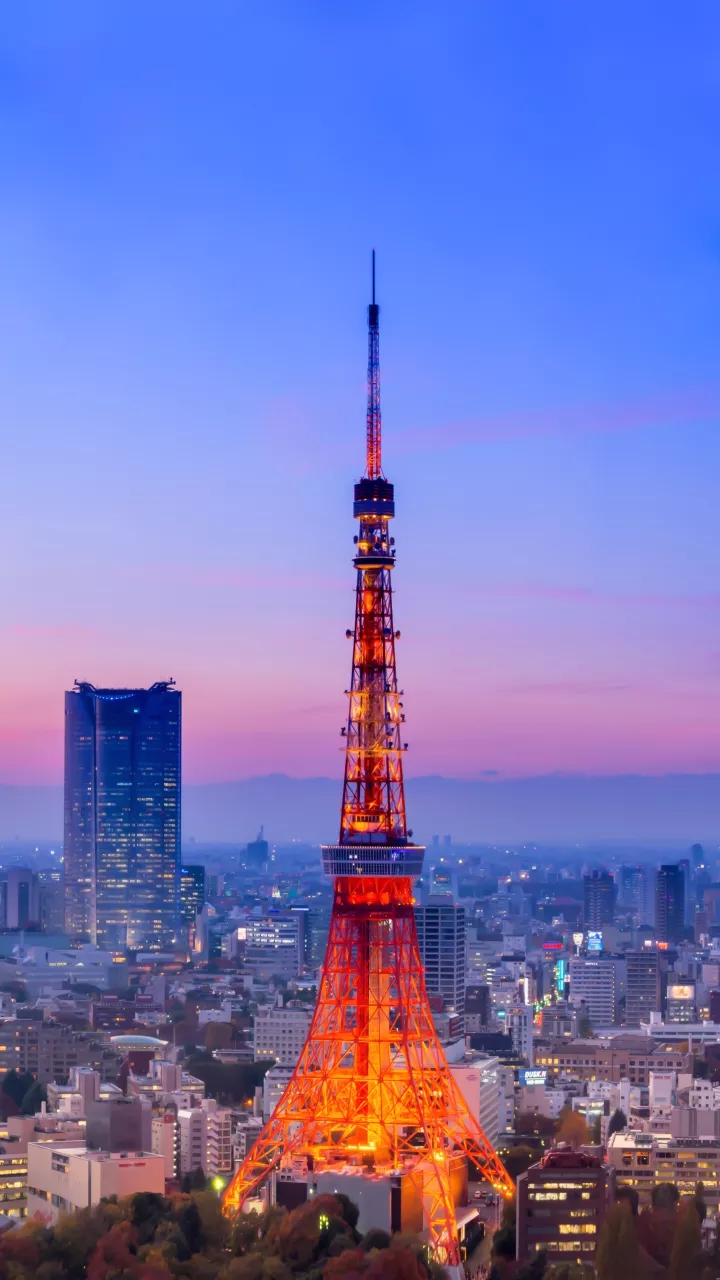 The Tokyo Tower
