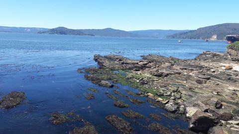 Peaceful seaview in the south of the world