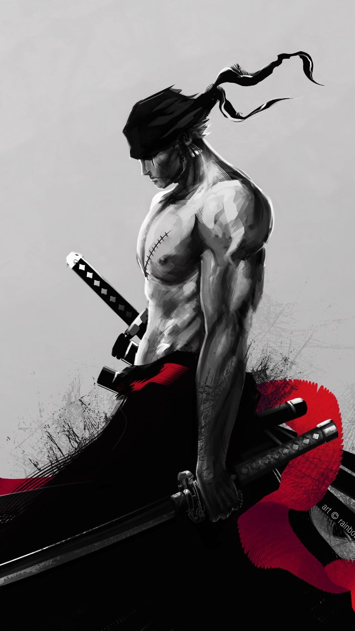 one piece zoro