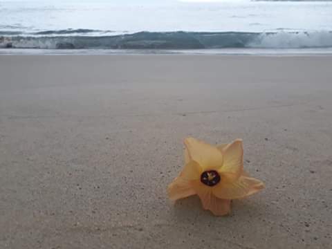 flor