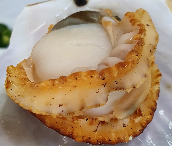 grilled scollop