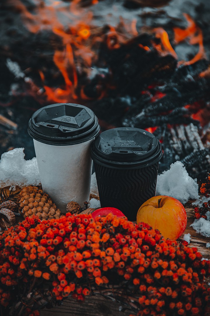 Winter picnic