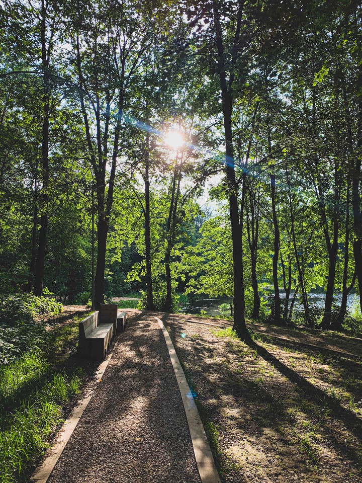 sun in lake