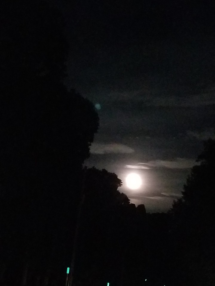 nightwatch