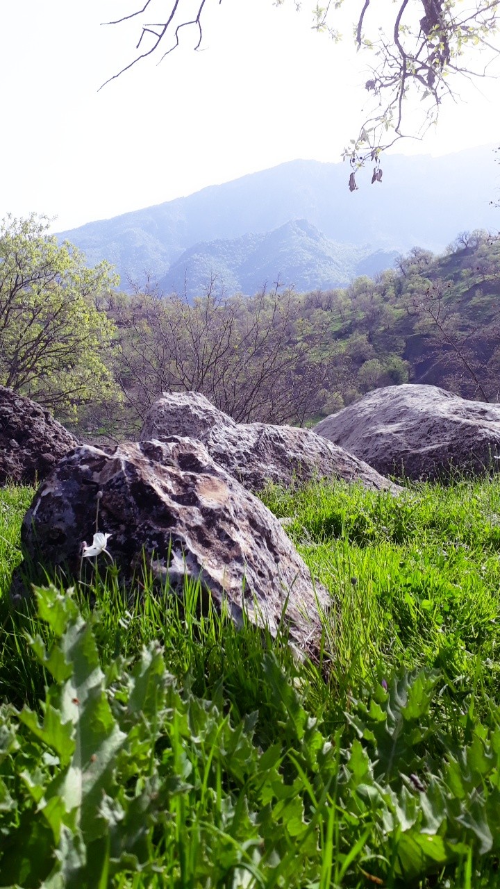 kurdistan nature