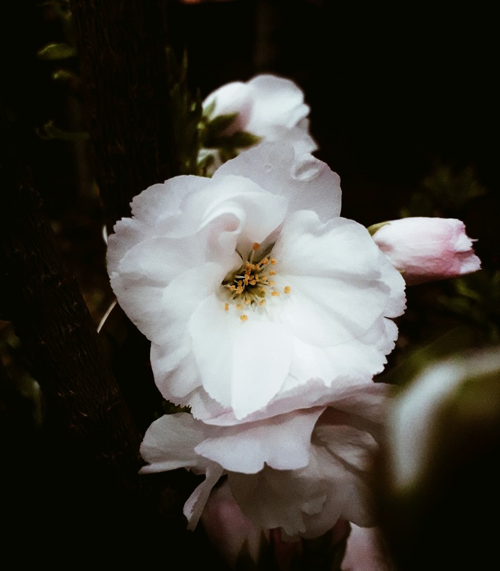 ●♡●