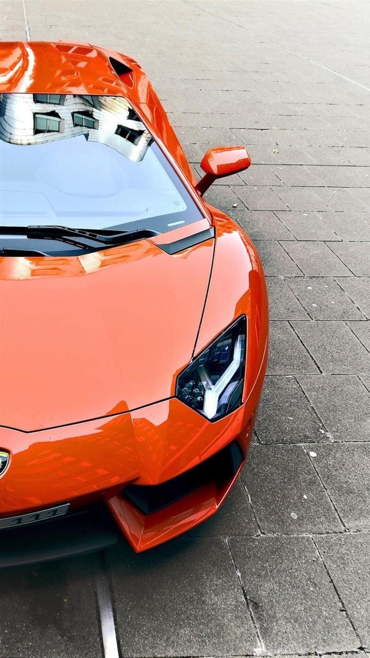 lambo