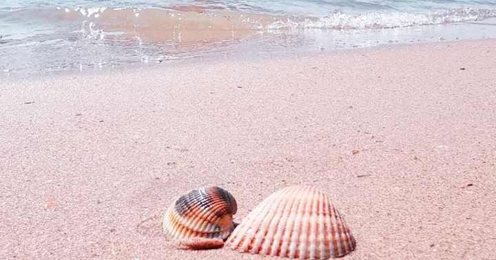 Море