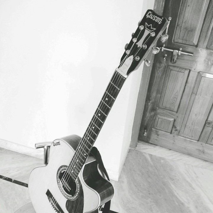 Guitar