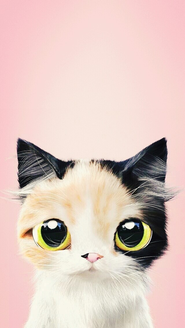 kitty
