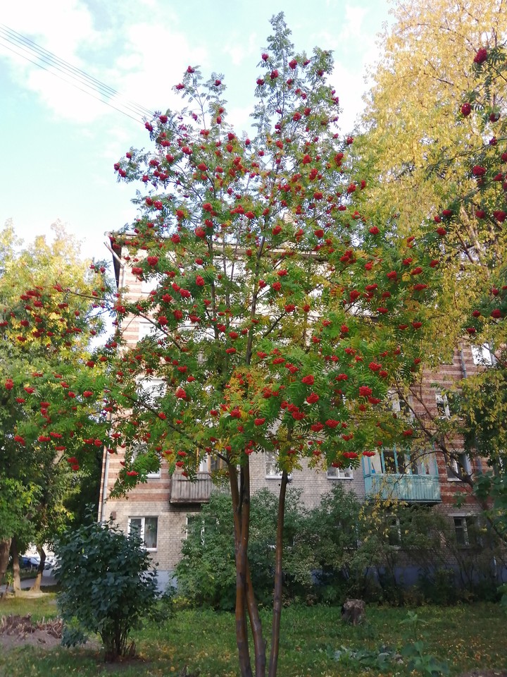 Осень