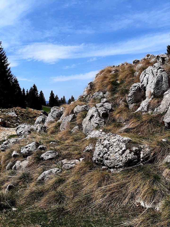 Vlasic mountain, Bosnia and Herzegovina