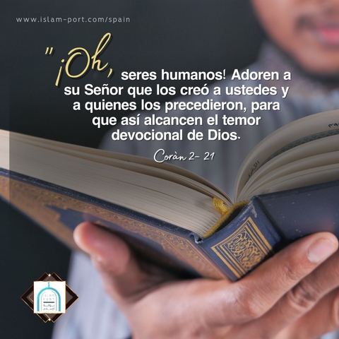 sfondi question, quran