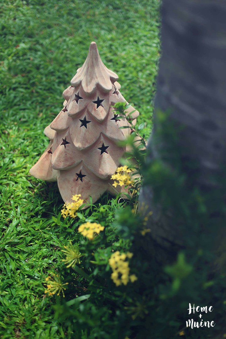 little tree