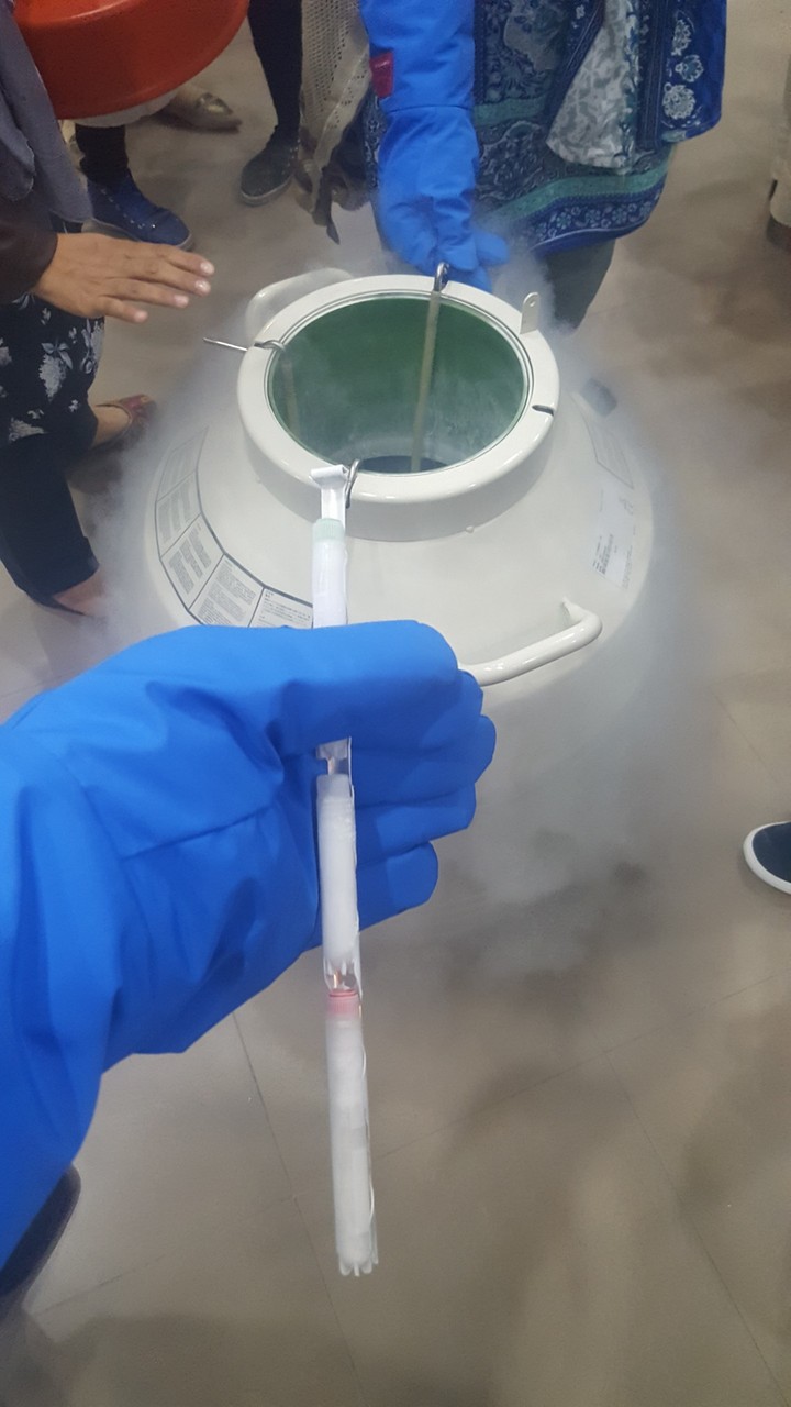 Liquid Nitrogen