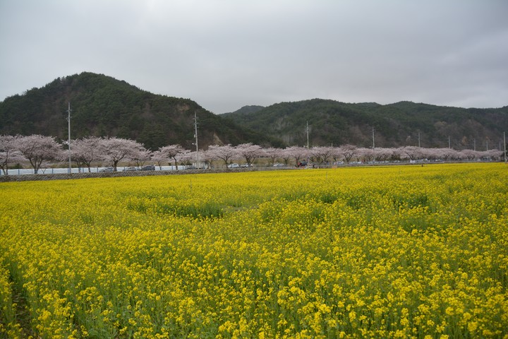 풍경이미지