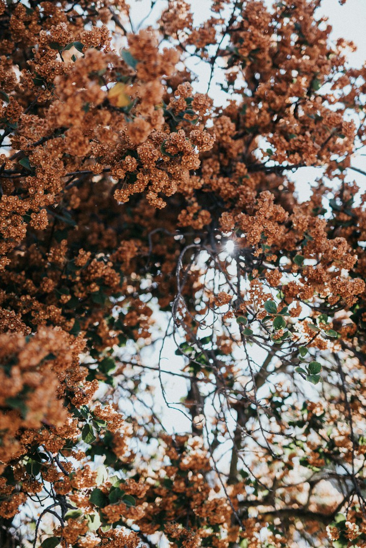 ⭐