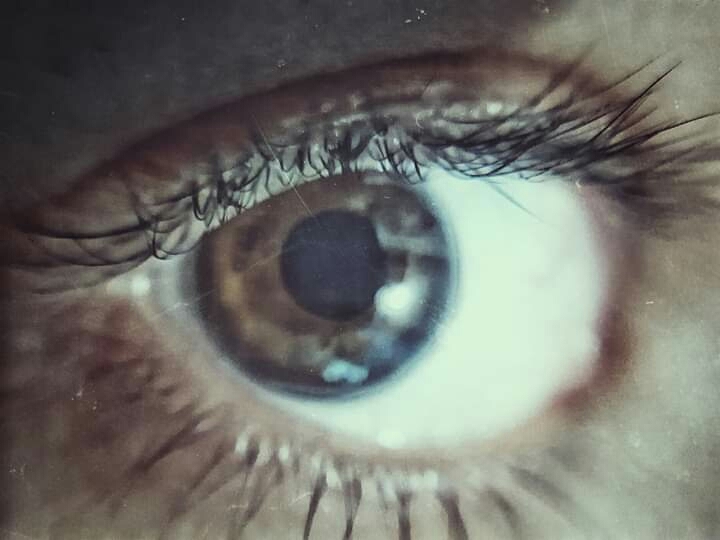 Eyes