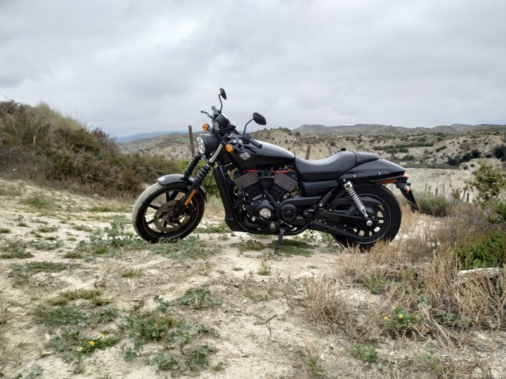 Harley Davidson