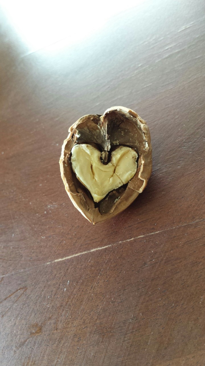 Love is Everywhere